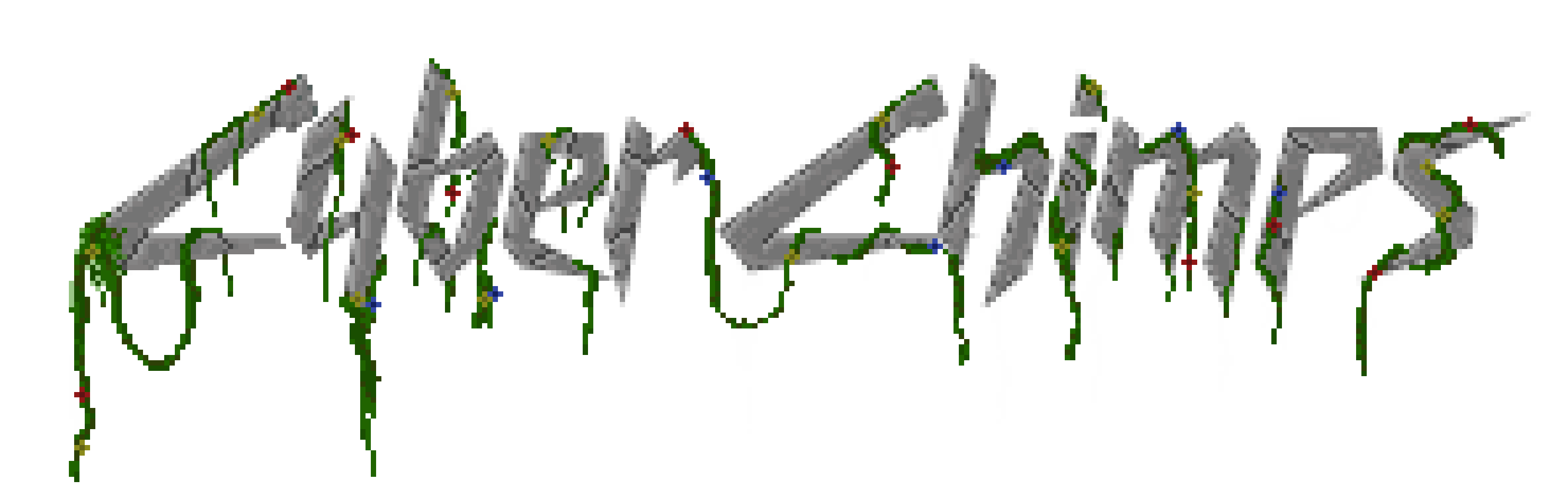 Cyber Chimps Logo
